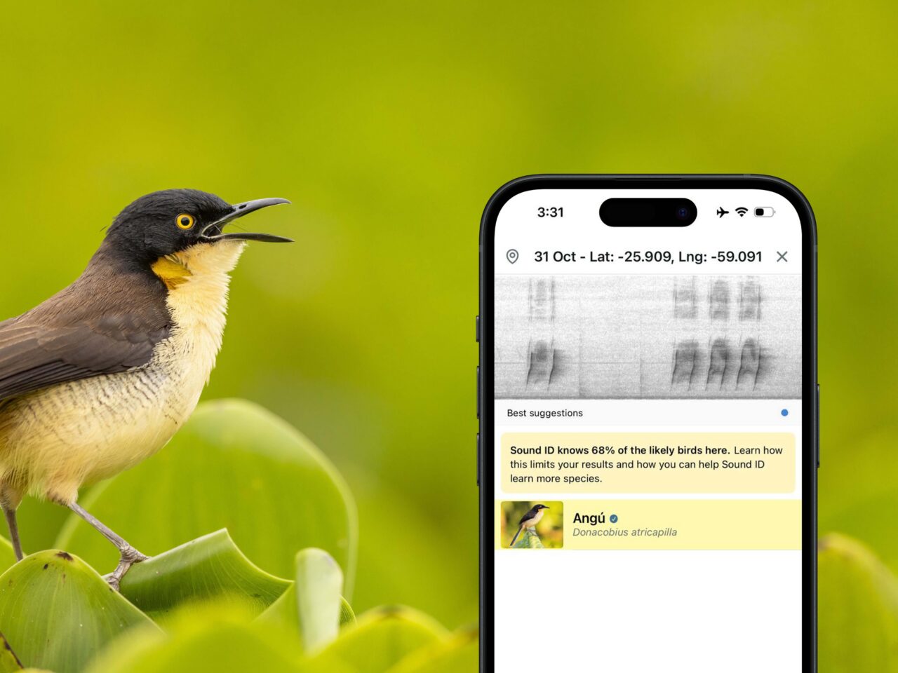 Merlin Sound ID identificando el canto de un ave