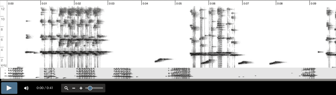 Espectrograma distorsionado por un filtro de reducción de ruido muy agresivo