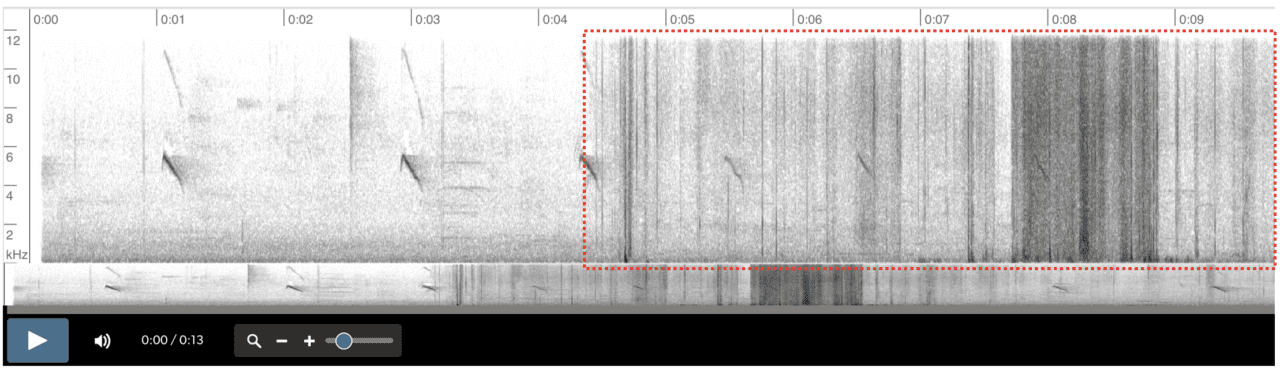 Espectrograma con bandas densas de ruido causadas por movimiento del grabador