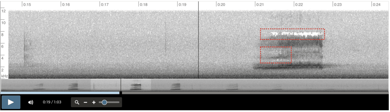 Espectrograma de archivo MP3 con huecos blancos causados por compresión de audio
