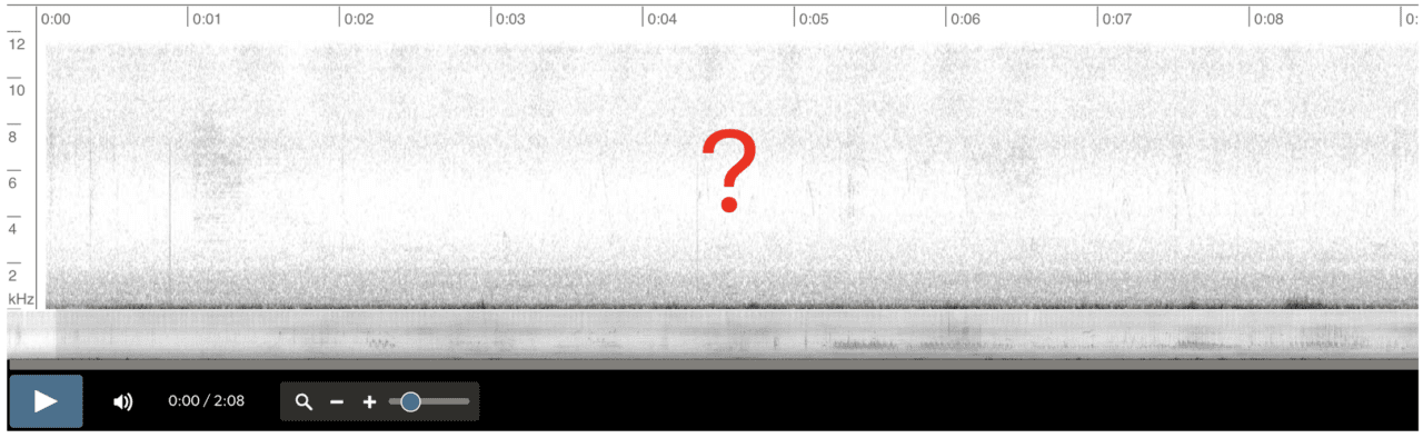 Espectrograma donde el ave objetivo no aparece en los primeros 8 segundos