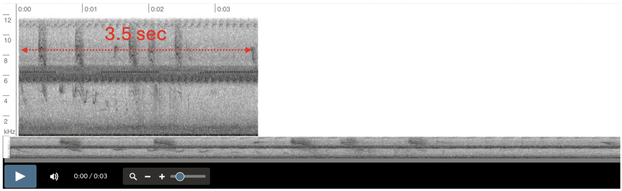 Espectrograma con una sola frase vocal incompleta y duración total muy corta