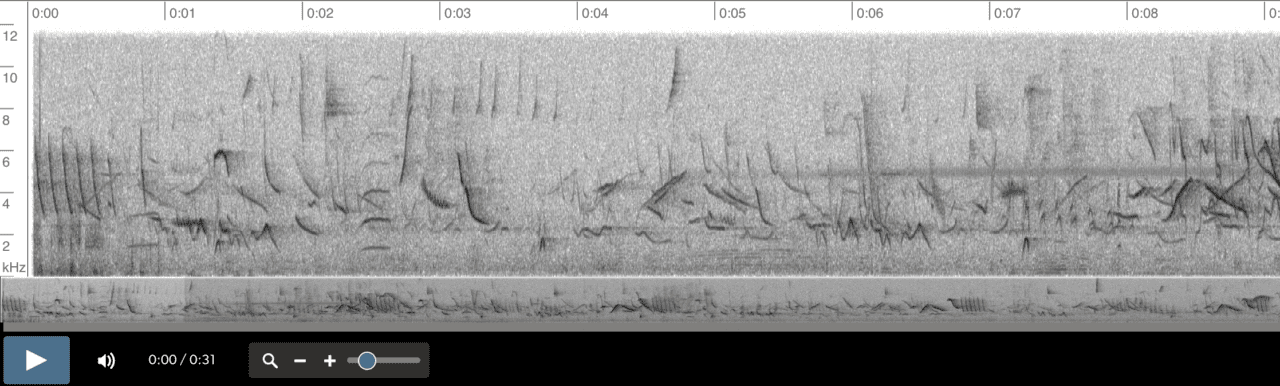 Espectrograma donde el ave objetivo no se destaca claramente sobre otros sonidos